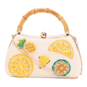 Viral Fruit Clutch Handbag with Bamboo Handle